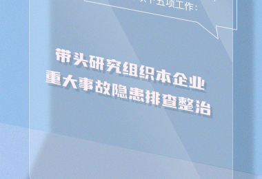 12345，1234567！@企業(yè)主要負(fù)責(zé)人